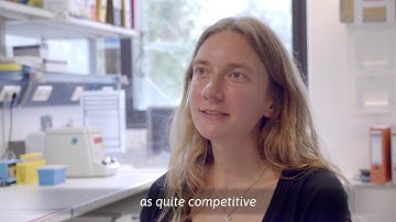 Dr. Nadine Gogolla on diversity in brain research