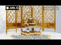 Video Image