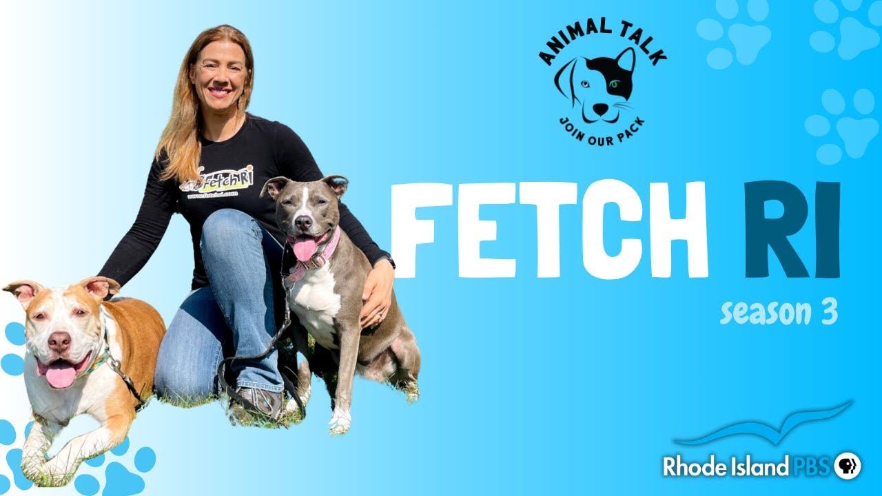 Diego's Inspiration | Animal Talk