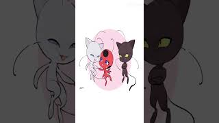 Miraculous Ladybug Catnoir Jealous