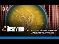 El Desayuno | Sopa de arroz de la abuelita de 'Nela' González