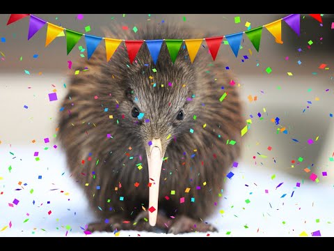 Kiwi song