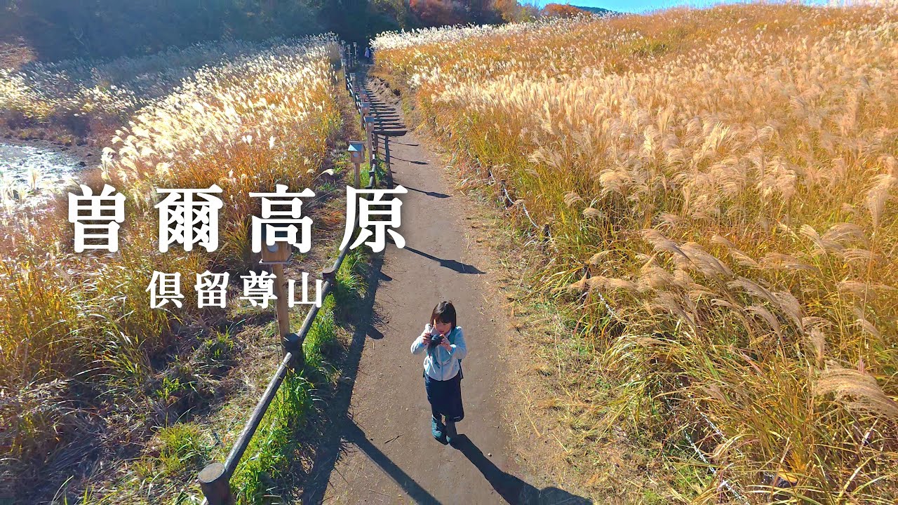 曽爾高原 黄金のススキが広がる奈良の秘境を歩く