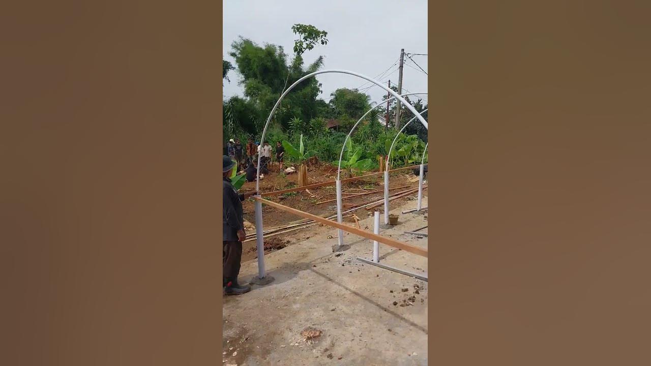 Pembangunan Green House Sederhana di Daerah Bogor Saung Hejo Channel #shorts #greenhouse #hidroponik Pembangunan Green House Sederhana di Daerah Bogor Saung Hejo Channel #shorts #greenhouse #hidroponik
