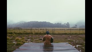 I will fool you | #asmr #relaxing #piano #guitar #music #chill #chillmusic