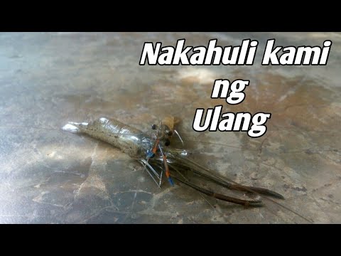 Video: Paano Magluto Ng Ulang At Ulang