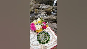 🎙️ تلاوة خاشعة لآية: “مَا كَانَ مُحَمَّدٌ أَبَا أَحَدٍ” تُبين مقام الرسول ﷺ✨