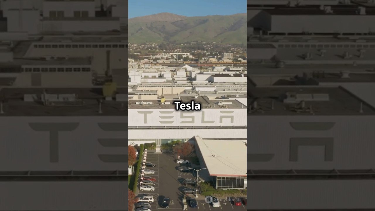 Tesla Stock to Fall by 48%? JP Morgan Predicts Major Setback for EV Leader 