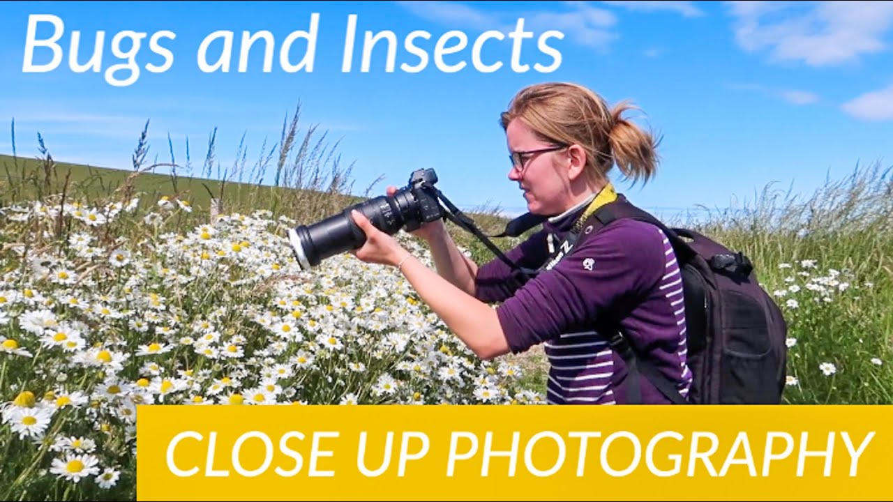Photographing Insects and Bugs on Wild Flowers 🐞🐝📷