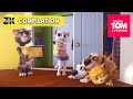 Talking Tom and Talking Angela Become Roommates! | Talking Tom &amp; Friends | Cartoons For Kids