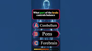 What part of the brain controls balance | body knowledge quiz educational shorts video #shorts