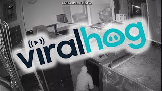 Security Camera Catches Suspicious Sneaking || ViralHog