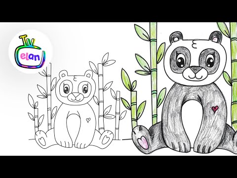 Video: Jak Nakreslit Pandu