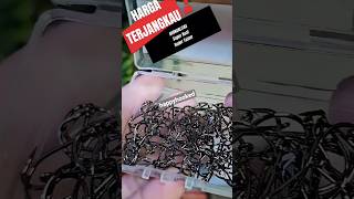 Kail Daido Kotakan 100pcs kailpancing matakail