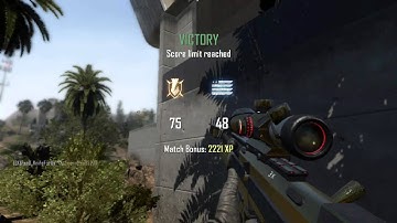 Sick Suicide Tomahawk Trickshot on Raid - Black Ops 2 :]