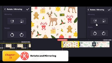 Rotate and Mirroring in Kinemaster । Kinemaster For Beginner in Hindi Chapter - 11