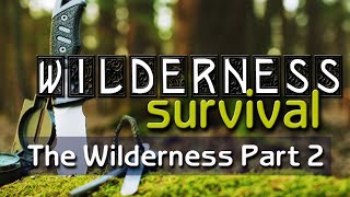 2021-0328 - Bill Ellenwood II - Wilderness Survival Part 2 - The Wilderness Part 2