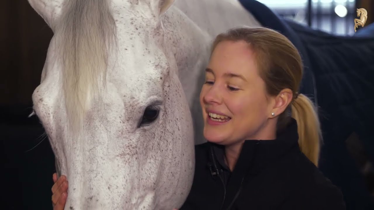 Cordess, geb. 2006, v. Clinton - Heartbreaker - Burggraaf