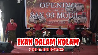 Suaranya Menakjubkan! Ikan Dalam Kolam - Versi Lebah Begantong #ikandalamkolam #lagumelayu