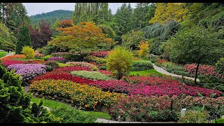 Moby - Love of Strings - Butchart Gardens