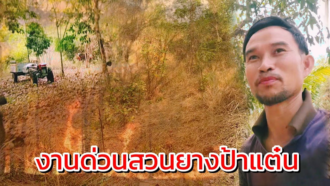 งานด่วนสวนยางป้าแต๋น