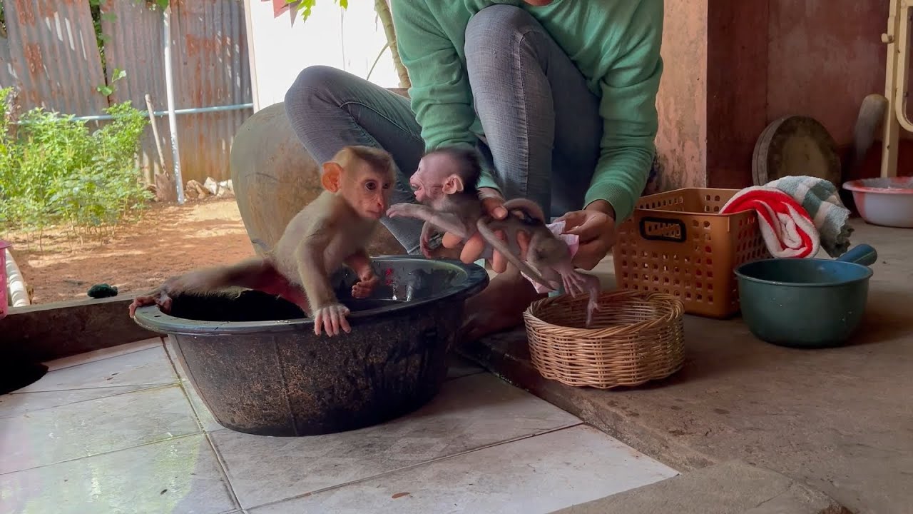 Small BB c..yii loud wan’t to take a bath in the morning 