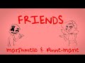 FRIENDS Marshmello X Anne Marie Clean Version 