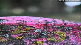 Beautiful Days 美麗時光 - Wong Wing Tsan 黃永燦