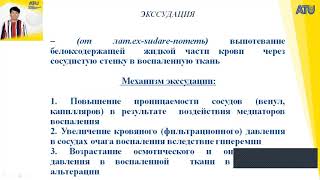 лекция 4 Основы ветеринарии