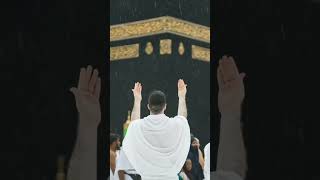 #flyxo #love #beautiful #islam