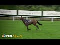 Royal Ascot 2019: Horse throws jockey, runs riderless | NBC Sports