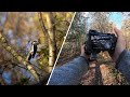Spotting Woodpeckers | Sony A6700 POV
