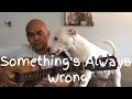 Somethings always wrong  toad the wet sprocket cover