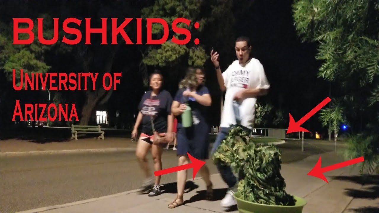 Bushkids at the University of Arizona Rush Week YouTube