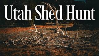Utah Shed Hunting // Creators Camp Collective Film