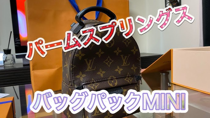 Louis Vuitton Palm Springs Backpack mini Replica 