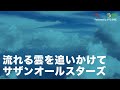 <へやうた#138>流れる雲を追いかけて/サザンオールスターズ