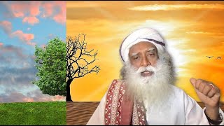 Sadhguru: Our Body Is Soil In Search of More Nutrients.