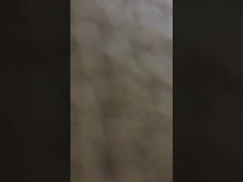 ハングリーニコル歌ってみた