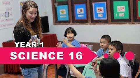 Year 1 Science, Lesson 16, Use of Soil Part 2