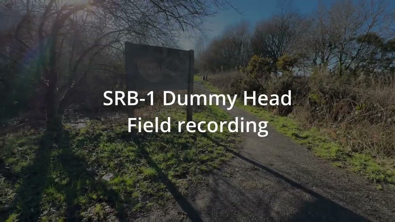 SRB-1 Dummy Head Field recording demo