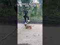 Dogs Deserve More Love