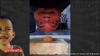 Ngakak lagi | Reaksi random oh random E49 P1