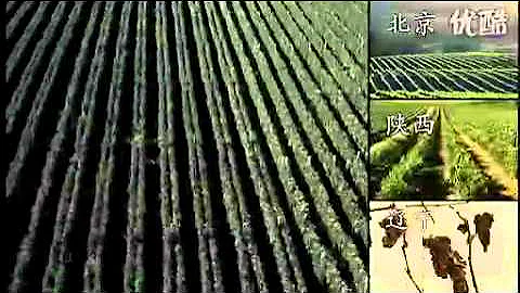 张裕葡萄酒广告 CCTV1分45秒中文版 - 天天要闻