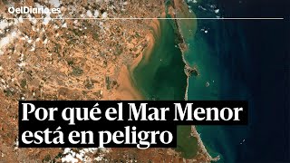 ¿Qué está pasando en el MAR MENOR y por qué está en peligro?