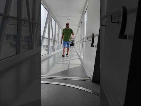 Can someone drop me off at the next country? ✈️🤣#travel #flight #funnyshorts #travelhumor