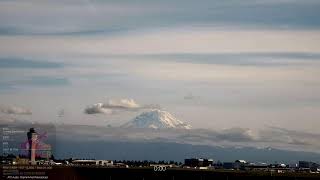 🔴 LIVE Seattle SeaTac Airport | Plane Spotting | 4K PTZ Camera Tours | Mount Rainier | Scenic Views