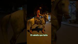 Mi caballo lobo gateado #rdr2 #caballos #shortvideos #horse #parati #viral #viralshort #mexicano