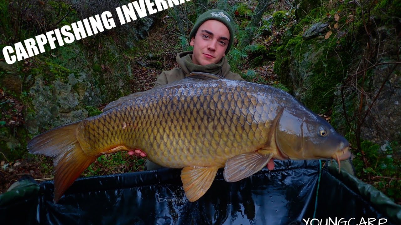 Carpfishing en Madrid // Carpfishing en invierno // YOUNG CARP