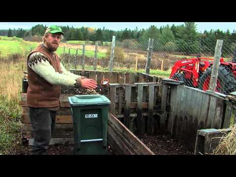 Food Scraps for Chicken Feed